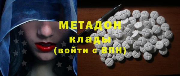 прущие грибы Алзамай