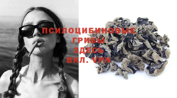 прущие грибы Алзамай